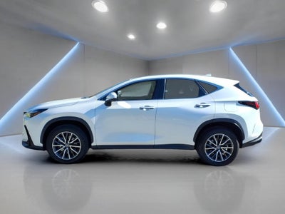2024 Lexus NX 250 Base